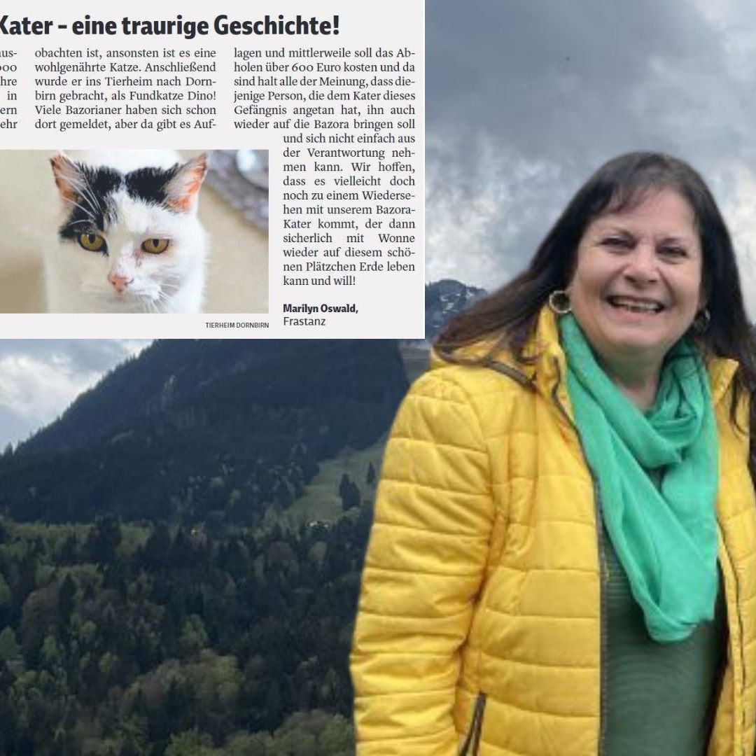 Im weitläufigen Ferienhaus-Gebiet auf der Bazora kann der Kater nun wieder seine Runden drehen.