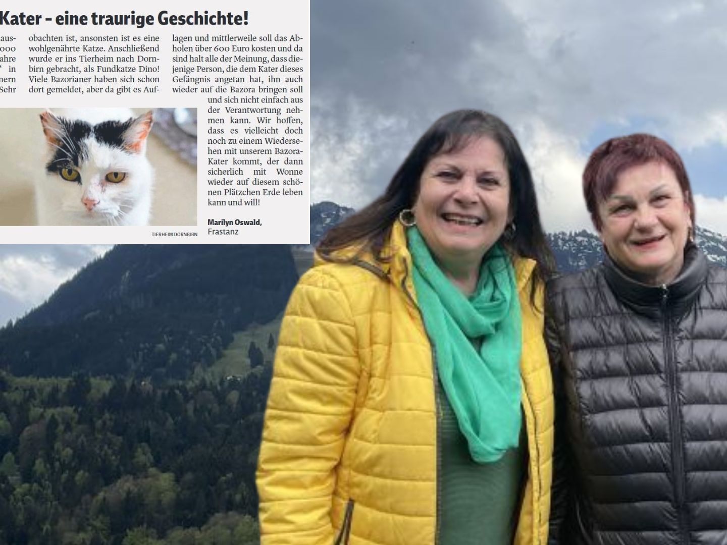 Im weitläufigen Ferienhaus-Gebiet auf der Bazora kann der Kater nun wieder seine Runden drehen.