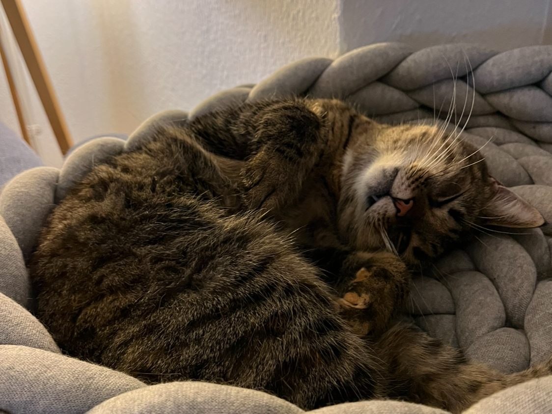 Mimi
