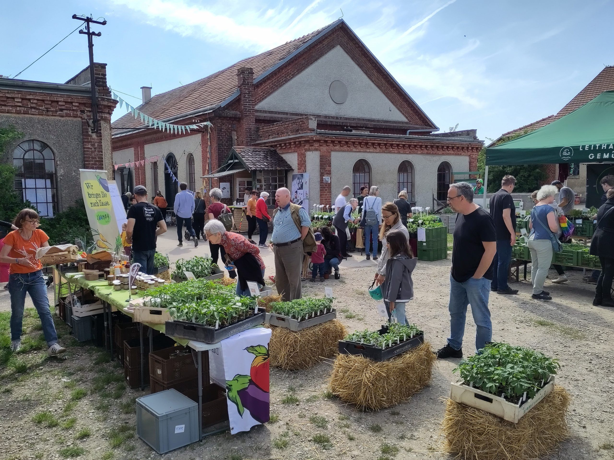 Der Zukunftshof startet mit einem Jungpflanzen- & Kinderflohmarkt in die neue Saison. Der Zukunftshof startet mit einem Jungpflanzen- & Kinderflohmarkt in die neue Saison.