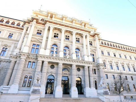 Der 20-jährige Wiener Rechtsextreme wurde als zu gefährlich eingestuft, um auf freiem Fuß zu sein.