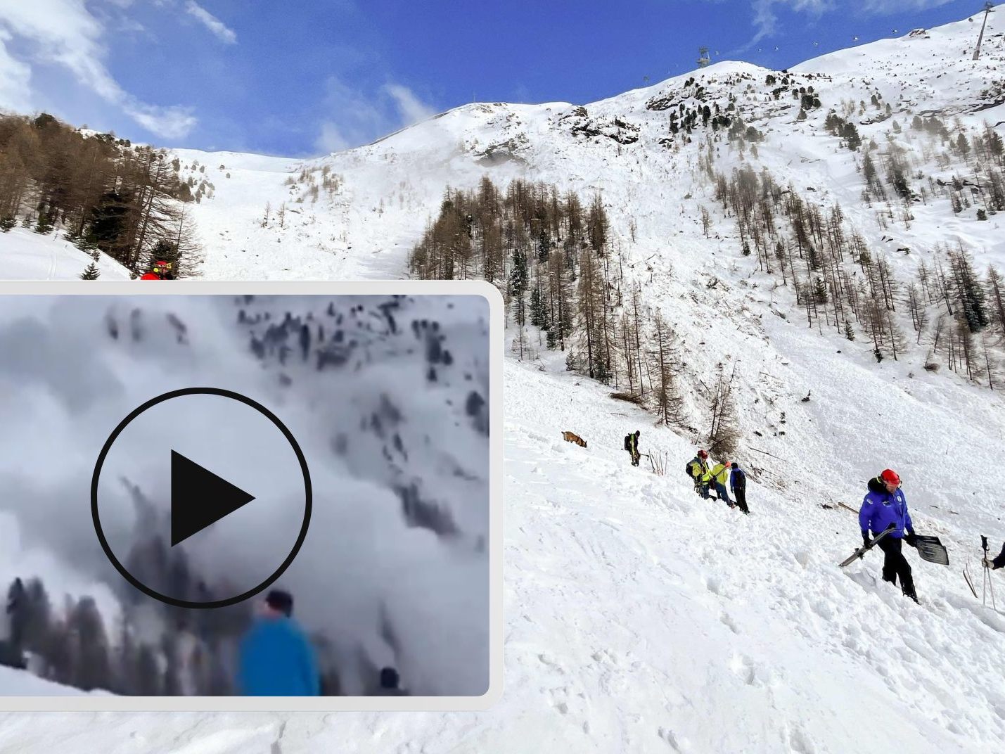 Die Suche wurde vorerst eingestellt. Die Suche wurde vorerst eingestellt.