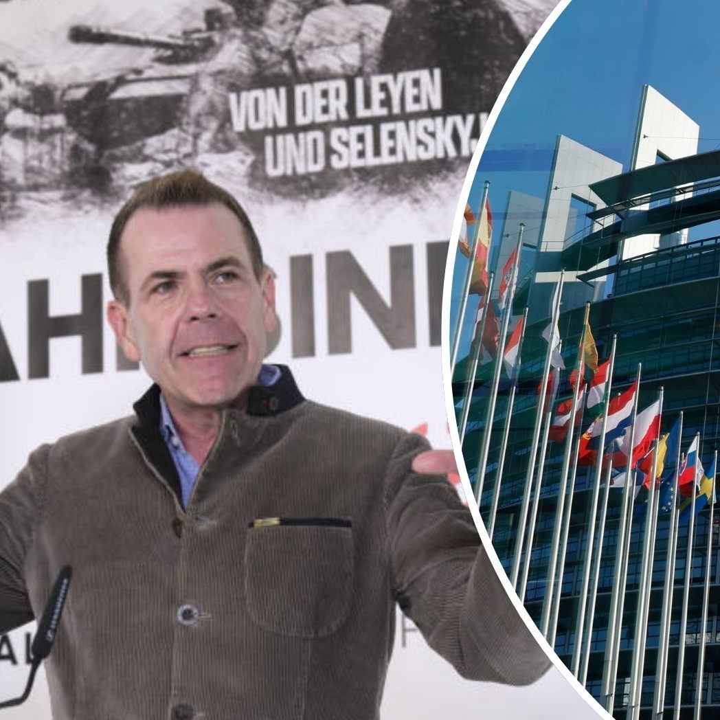 Das steht im Wahlprogramm der FPÖ für die EU-Wahl 2024.