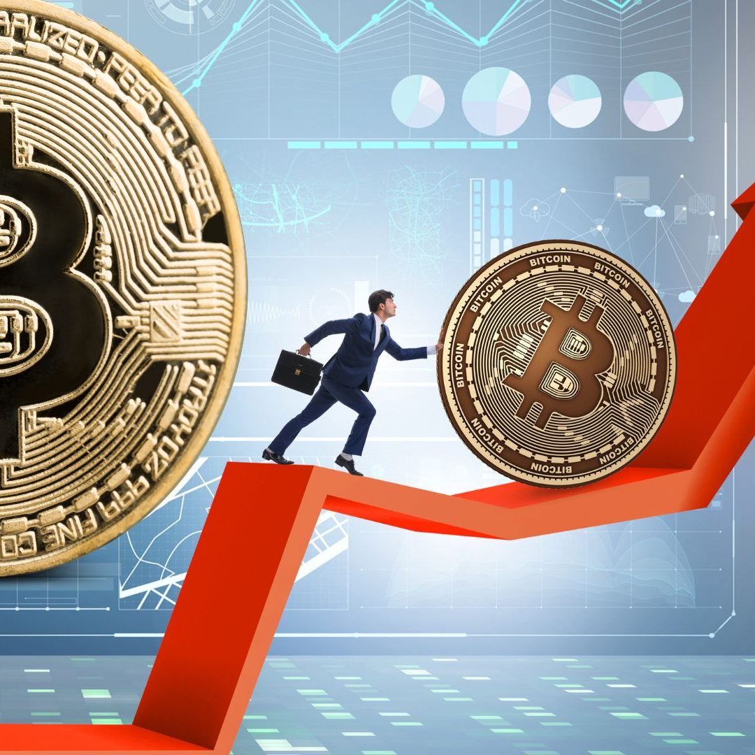 Deputy CEO von Bitpanda: "Halving" als "psychologisches Event" treibt den Kurs