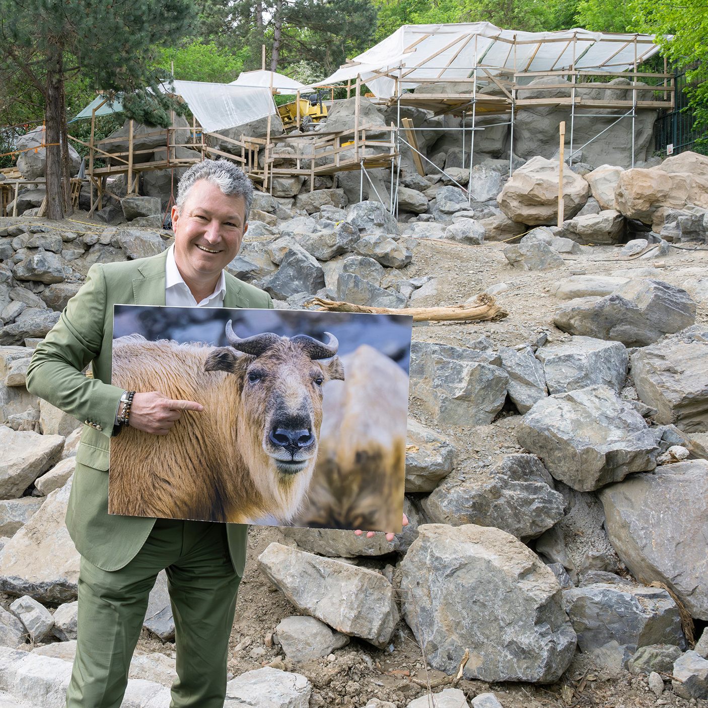 Der Wiener Tiergarten Schönbrunn errichtet eine Gebirgsanlage für Tahre und Takine.