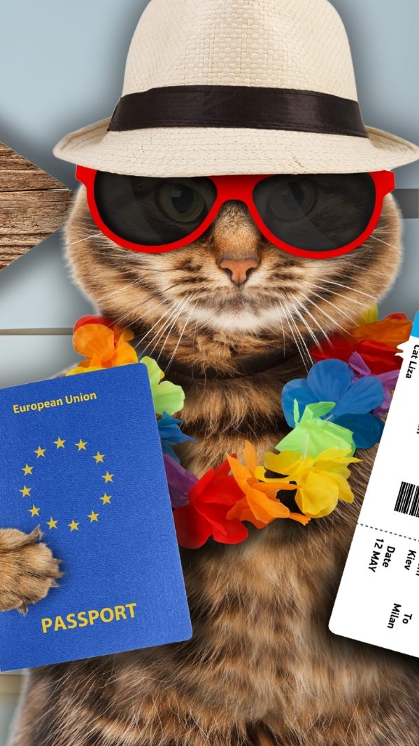 Damit der Sommerurlaub für alle Familienmitglieder perfekt wird.