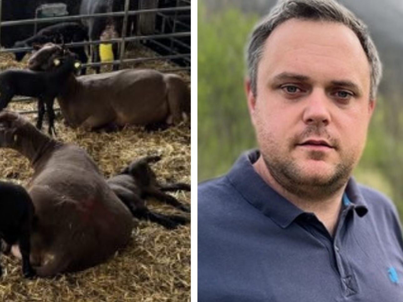 Christoph gibt seine Schäfchen nicht auf.