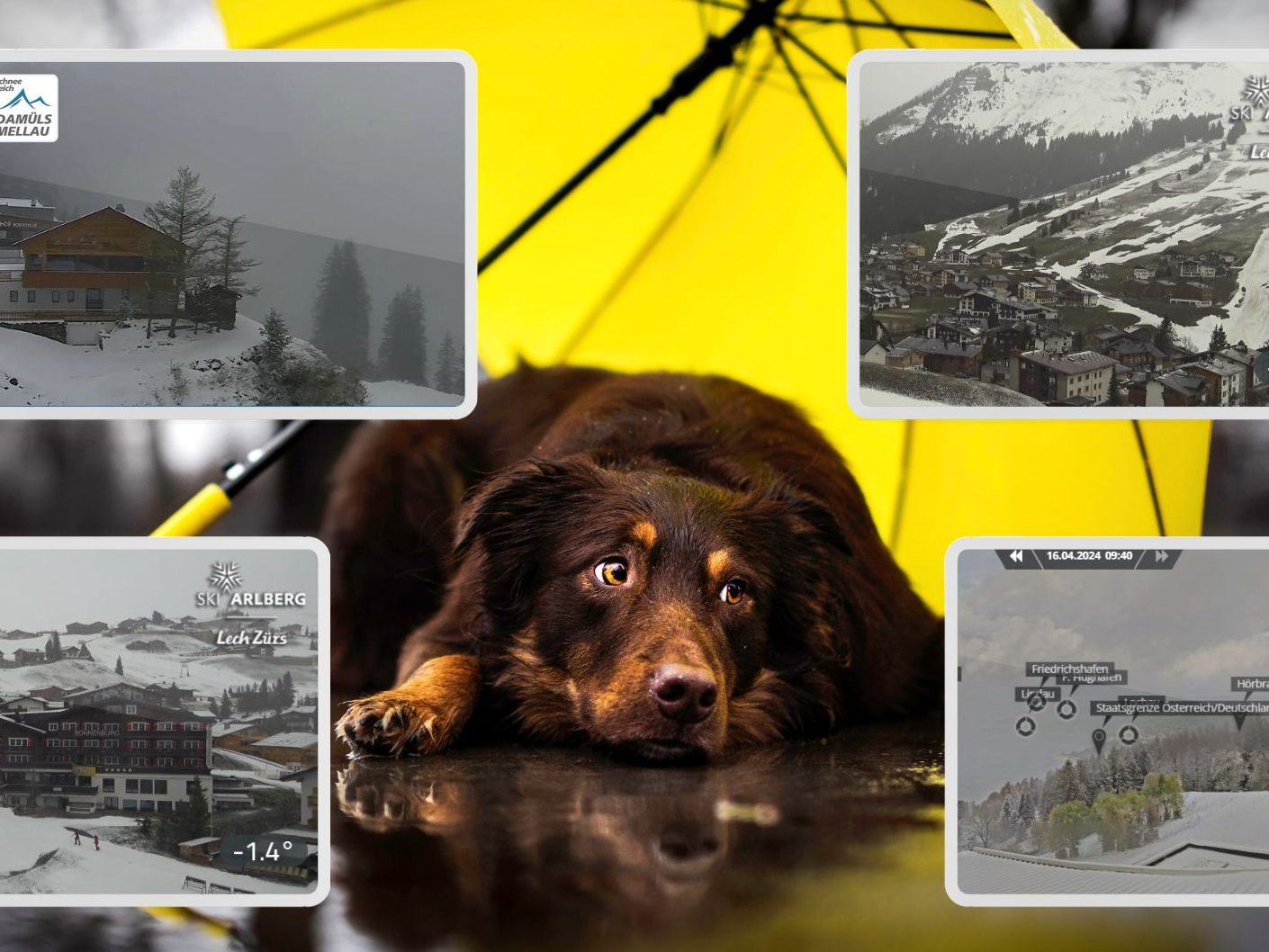 Trübes Wetter mit Schnee und Regen in der Wochenmitte.