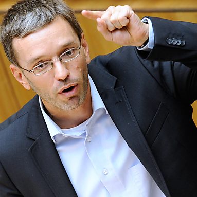 Kickl lehnte 2010 die kollektive Verurteilung der SS ab.