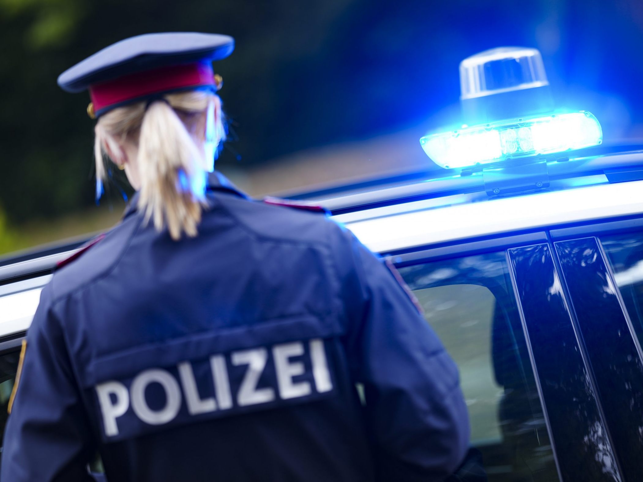 Die Wiener Polizei wurde wegen Gewalt in der Privatsphäre alarmiert. Die Wiener Polizei wurde wegen Gewalt in der Privatsphäre alarmiert.
