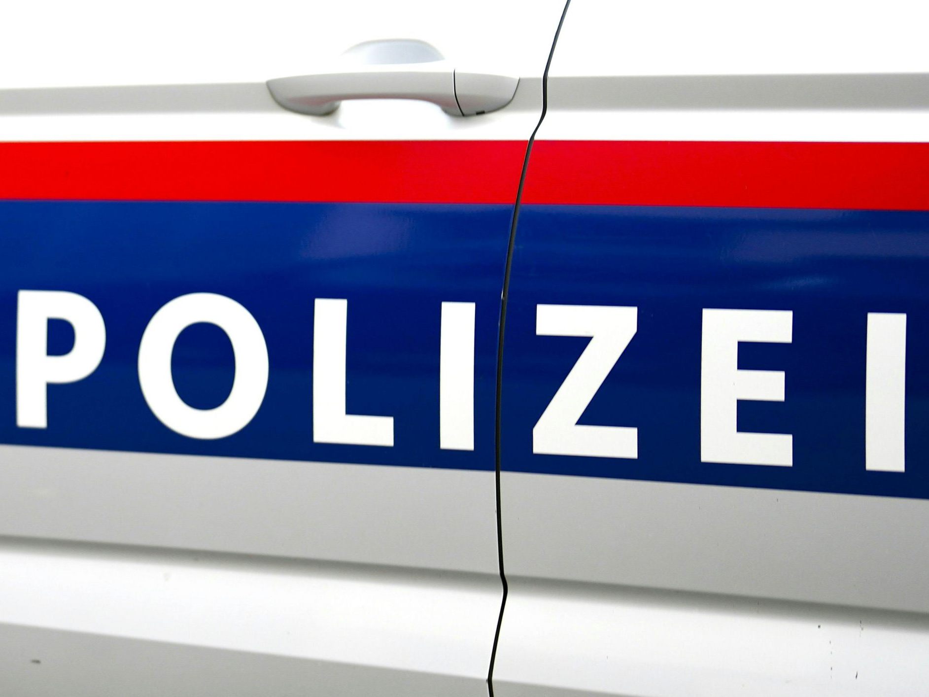In Niederösterreich wurden zwei Polizisten verletzt. In Niederösterreich wurden zwei Polizisten verletzt.
