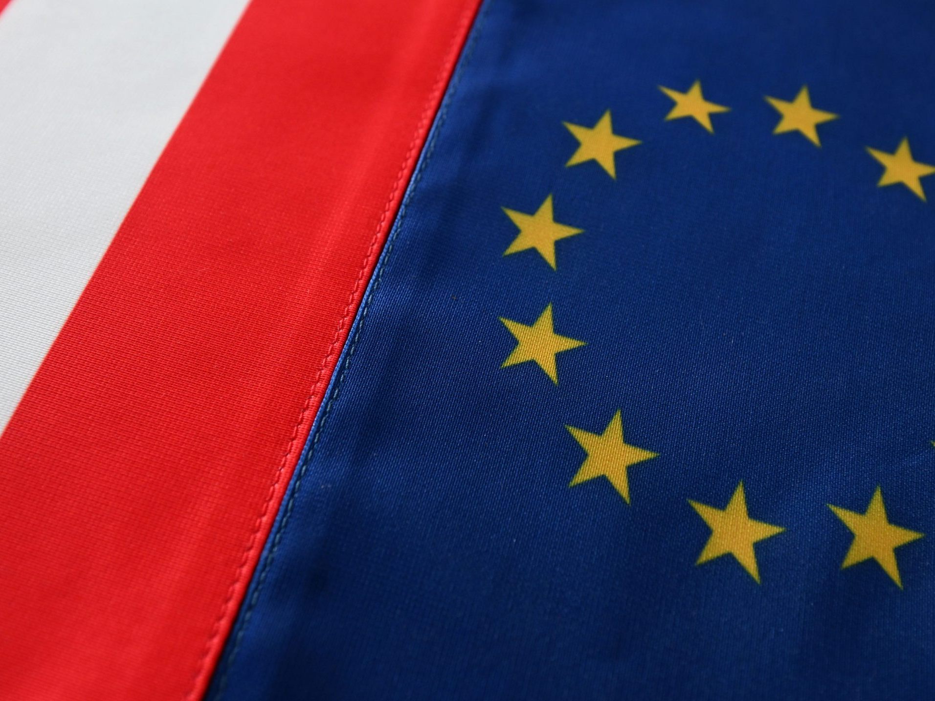 Rund 80 Prozent der Auslandsstudierenden wollen an der EU-Wahl teilnehmen. Rund 80 Prozent der Auslandsstudierenden wollen an der EU-Wahl teilnehmen.