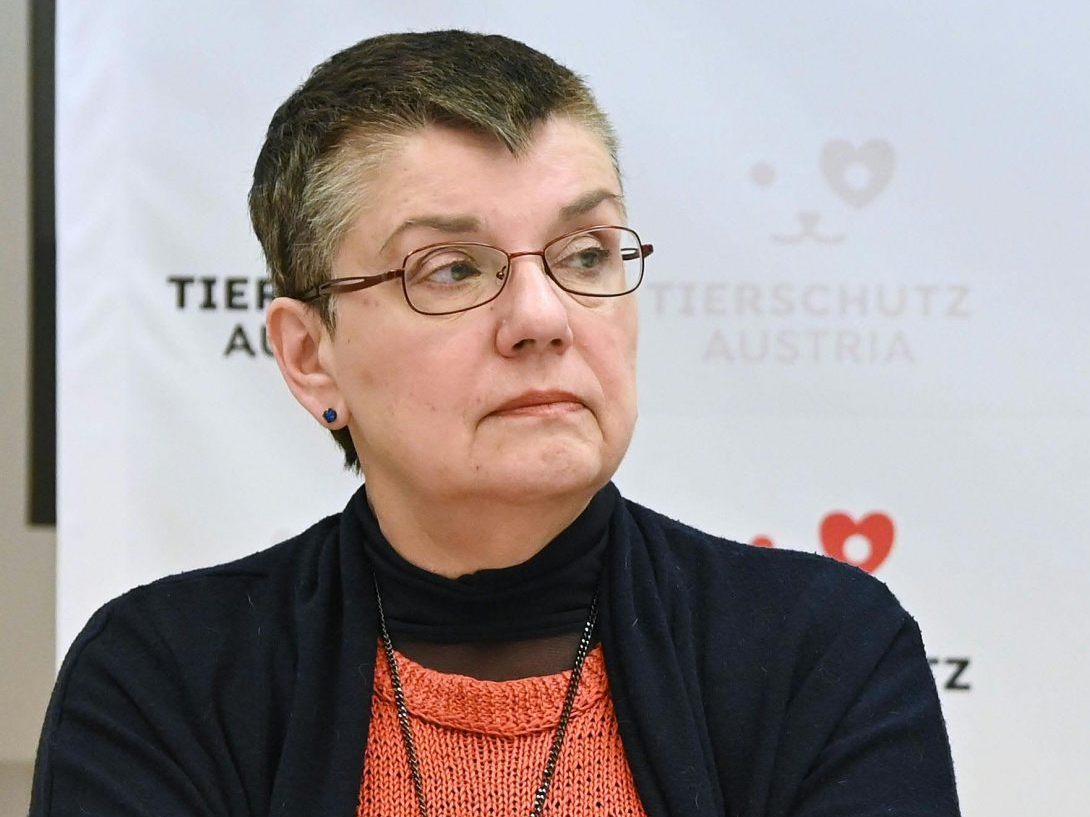 Die Ex-Grünen-Chefin Petrovic will bei der NR-Wahl antreten.