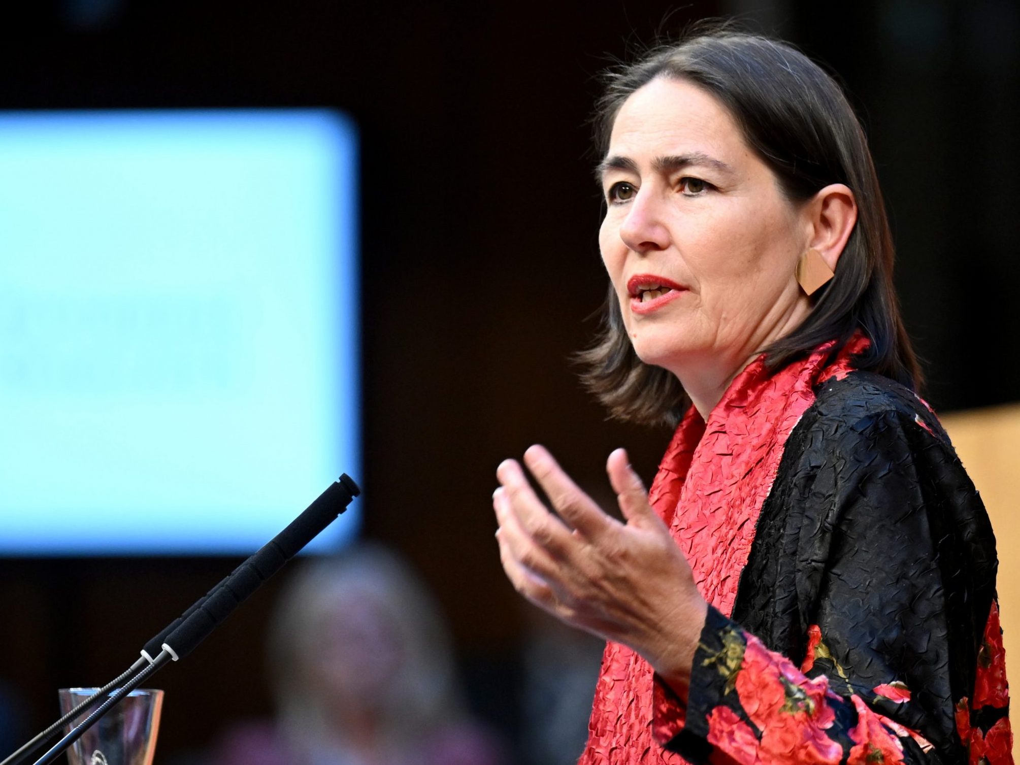 Alexandra Föderl-Schmid hat nicht plagiiert.