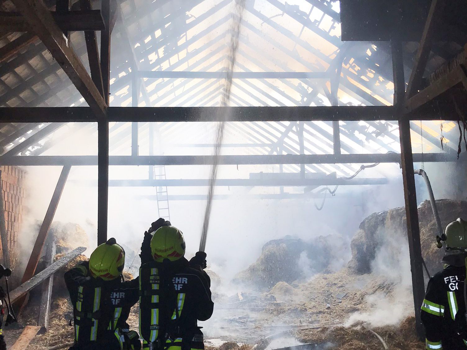 120 Milchkühe konnten vor dem Feuer gerettet werden.