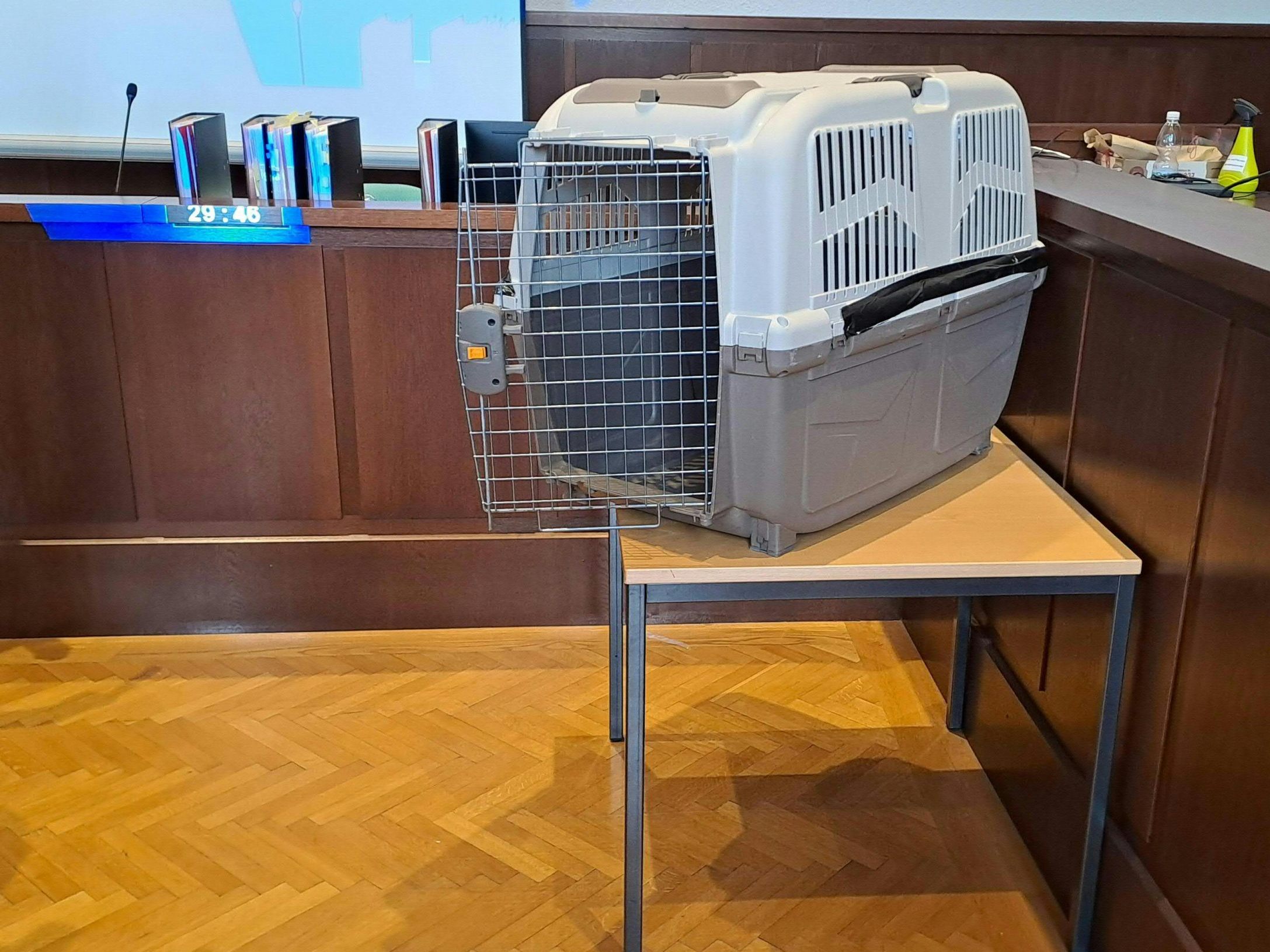 Im Hundebox-Fall gibt es Ermittlungen gegen zwei Behördenmitarbeiter.