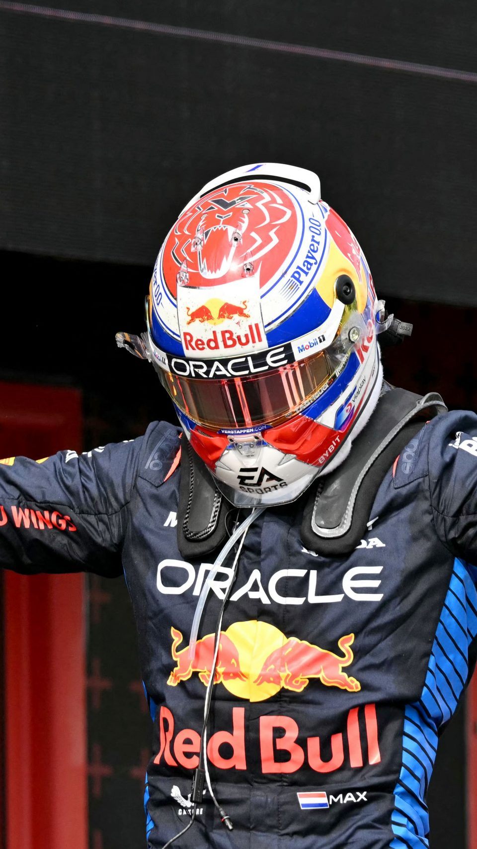 Fünfter Saisonsieg für Verstappen