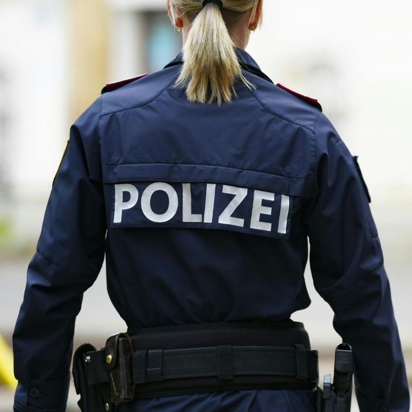 EU-Wahl-2024: Thema Sicherheit in den Wahlprogrammen der fünf großen Parteien.