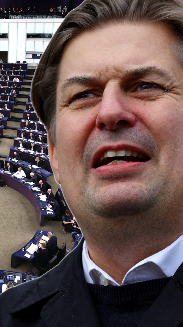 FPÖ wollte nur Ausschluss des AfD-Abgeordneten Maximilian Krah. (Bild)