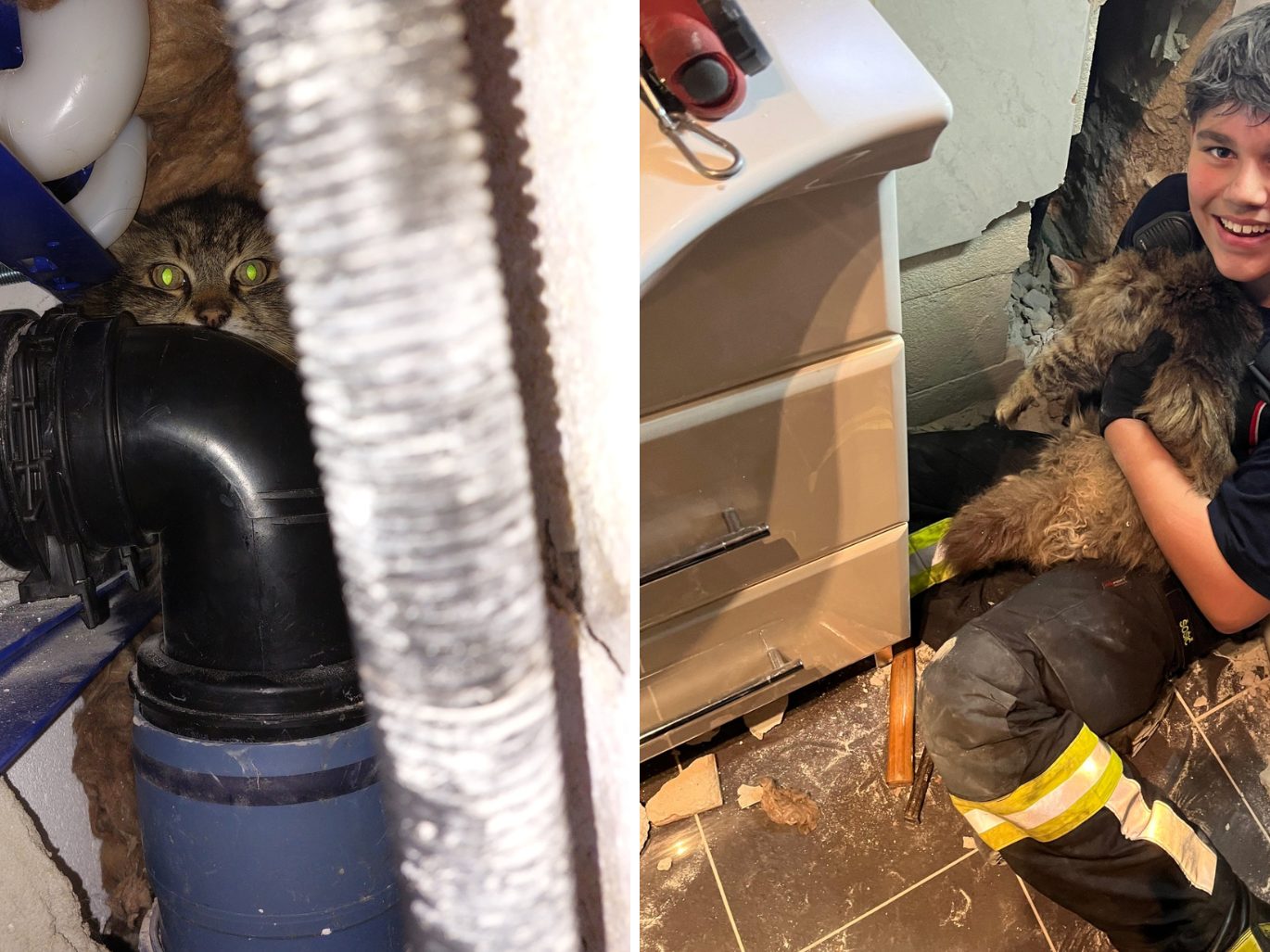 Glücklicherweise konnte der Kater von der Feuerwehr gerettet werden. Glücklicherweise konnte der Kater von der Feuerwehr gerettet werden.