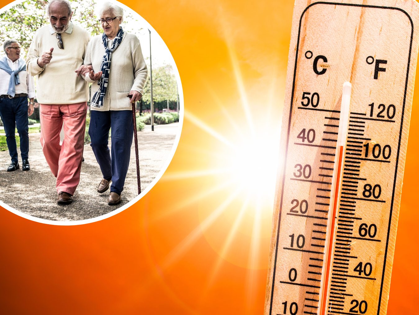 Schuld daran sind die steigenden Temperaturen durch die globale Erwärmung und eine zunehmend älter werdende Erdbevölkerung. Schuld daran sind die steigenden Temperaturen durch die globale Erwärmung und eine zunehmend älter werdende Erdbevölkerung.