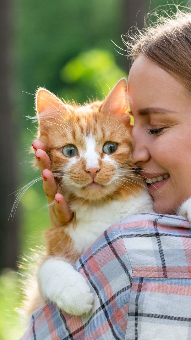 Österreich bleibt ein "Katzenland".