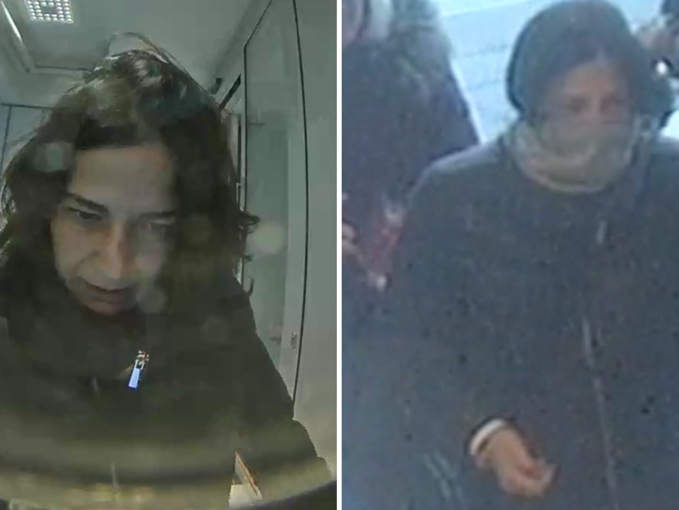 Wer hat diese Frau gesehen? Wer hat diese Frau gesehen?