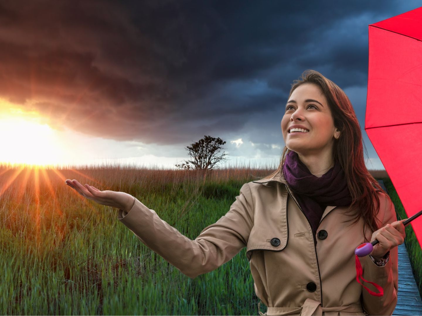 Im Westen wird es regnerischer, während im Osten meist die Sonne überwiegt.