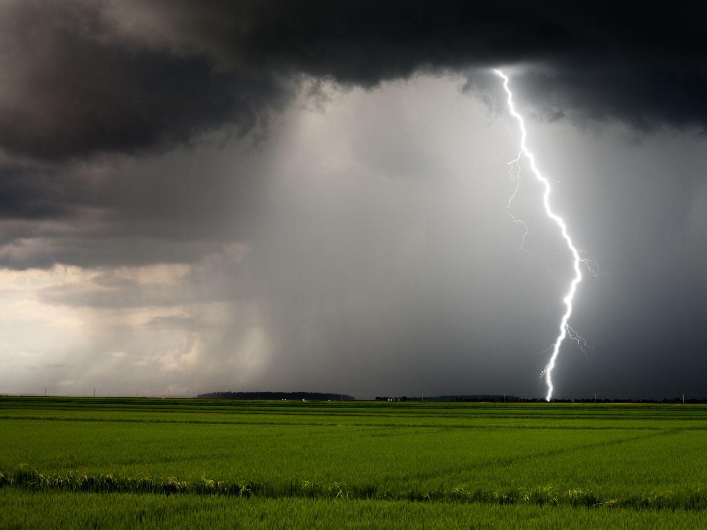 Das Wetter in der verbleibenden Woche wird unbeständig. Das Wetter in der verbleibenden Woche wird unbeständig.