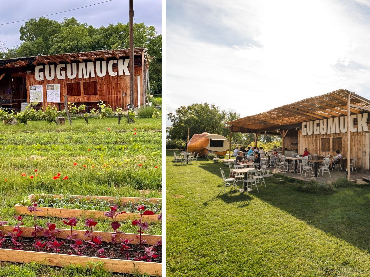 Direkt neben Gugumucks Gartenbar gibt es in Wien-Favoriten nun auch den Market-Garden. Direkt neben Gugumucks Gartenbar gibt es in Wien-Favoriten nun auch den Market-Garden.