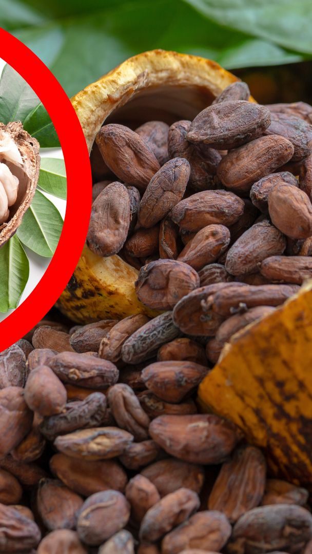 Neue Technologie für gesündere und umweltfreundlichere Schokolade