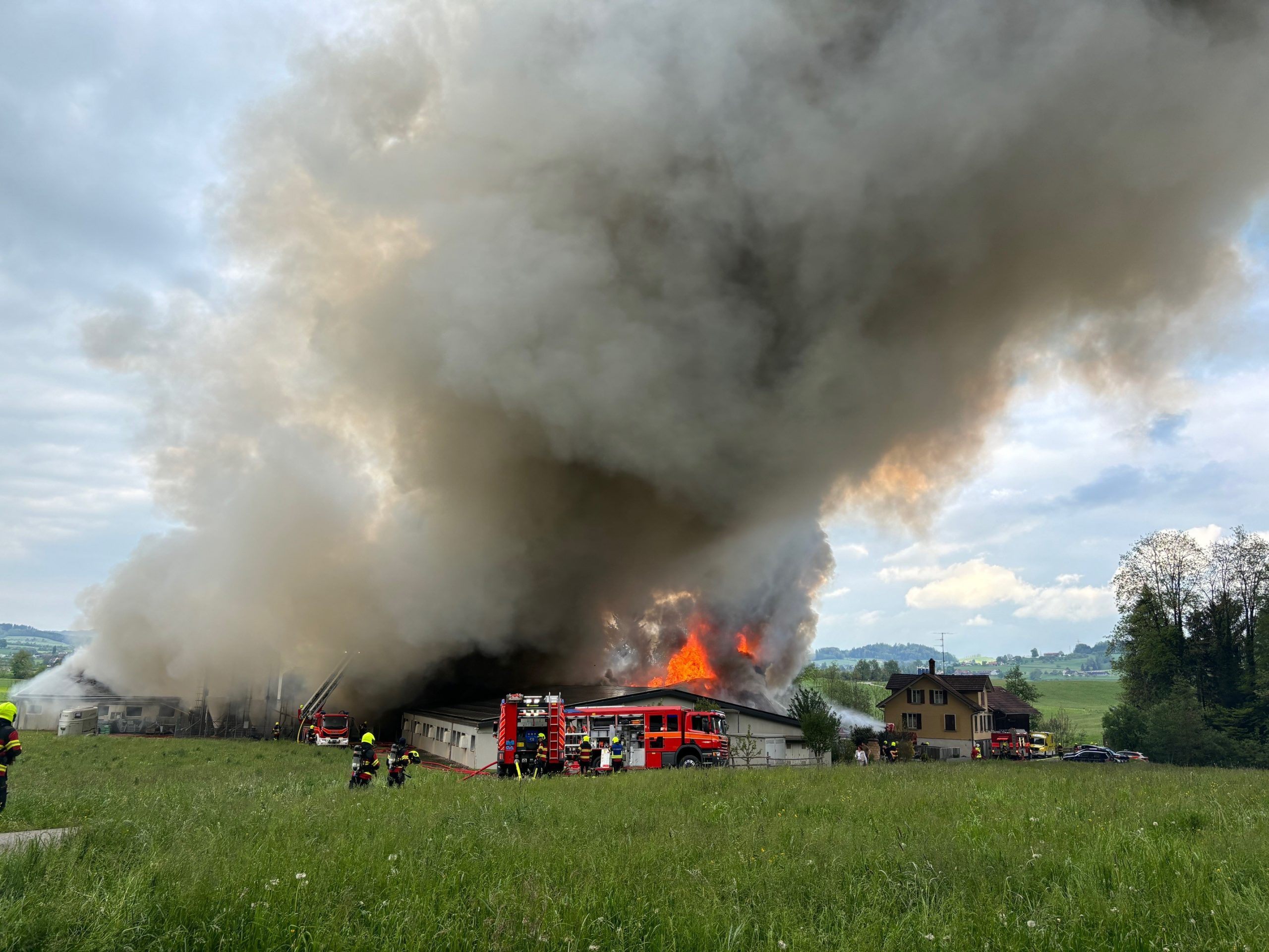 Feuerwehrgroßeinsatz in Gossau Feuerwehrgroßeinsatz in Gossau