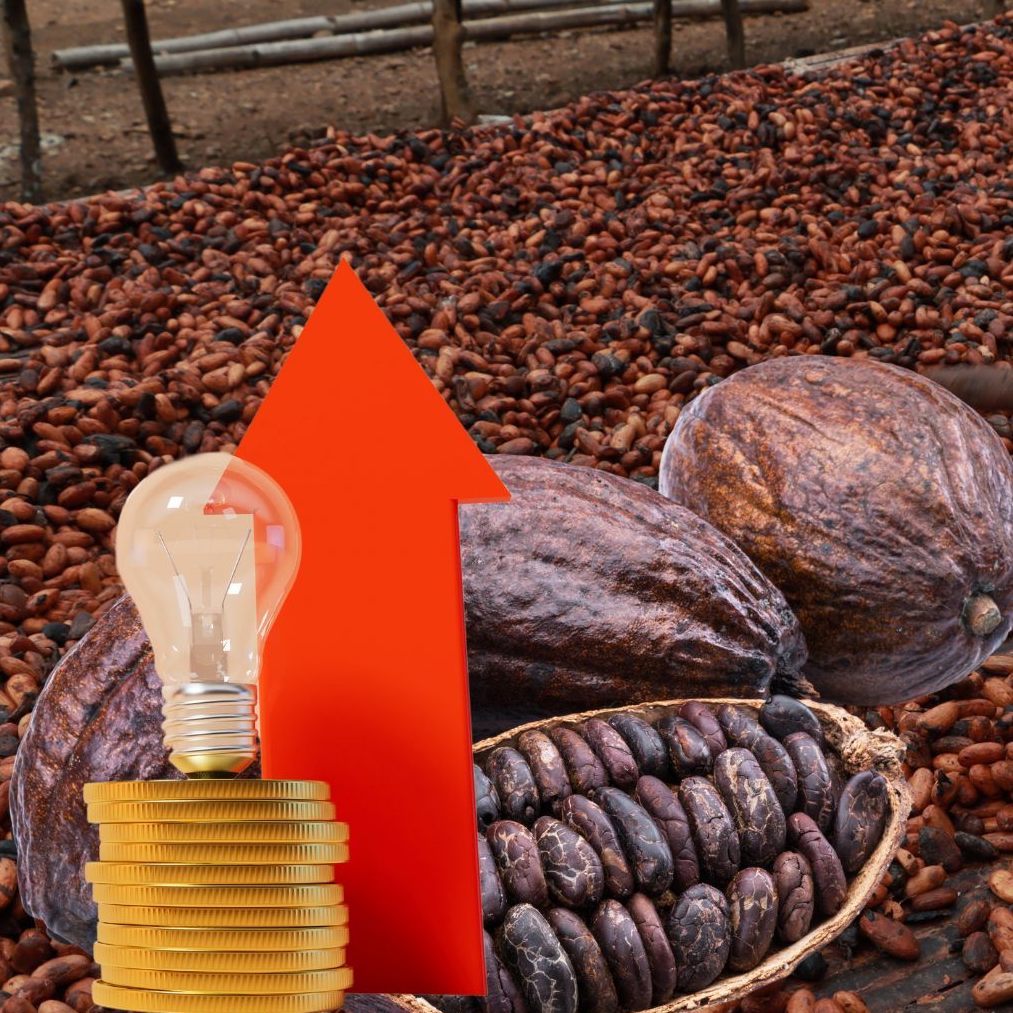 Der massive Anstieg des Kakaopreises belastet die heimischen Süßwarenhersteller erheblich.