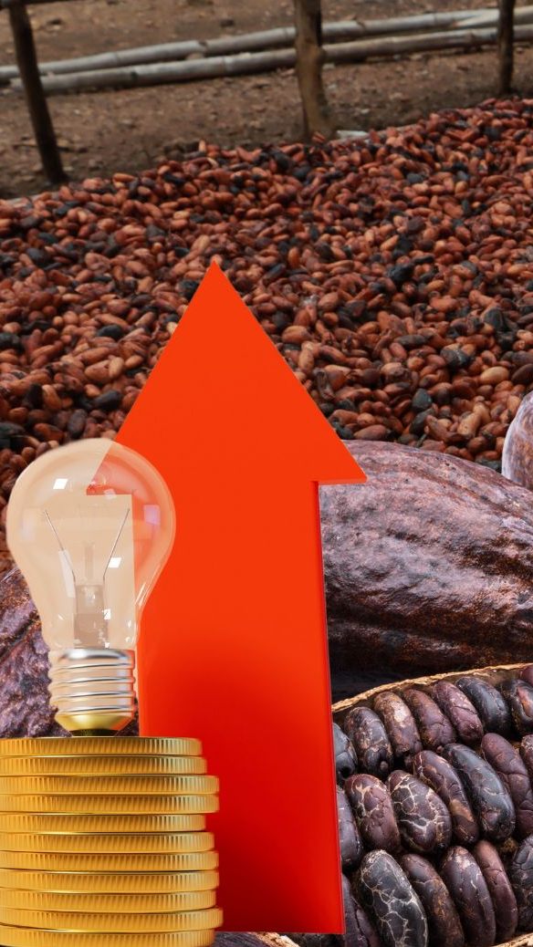 Der massive Anstieg des Kakaopreises belastet die heimischen Süßwarenhersteller erheblich.