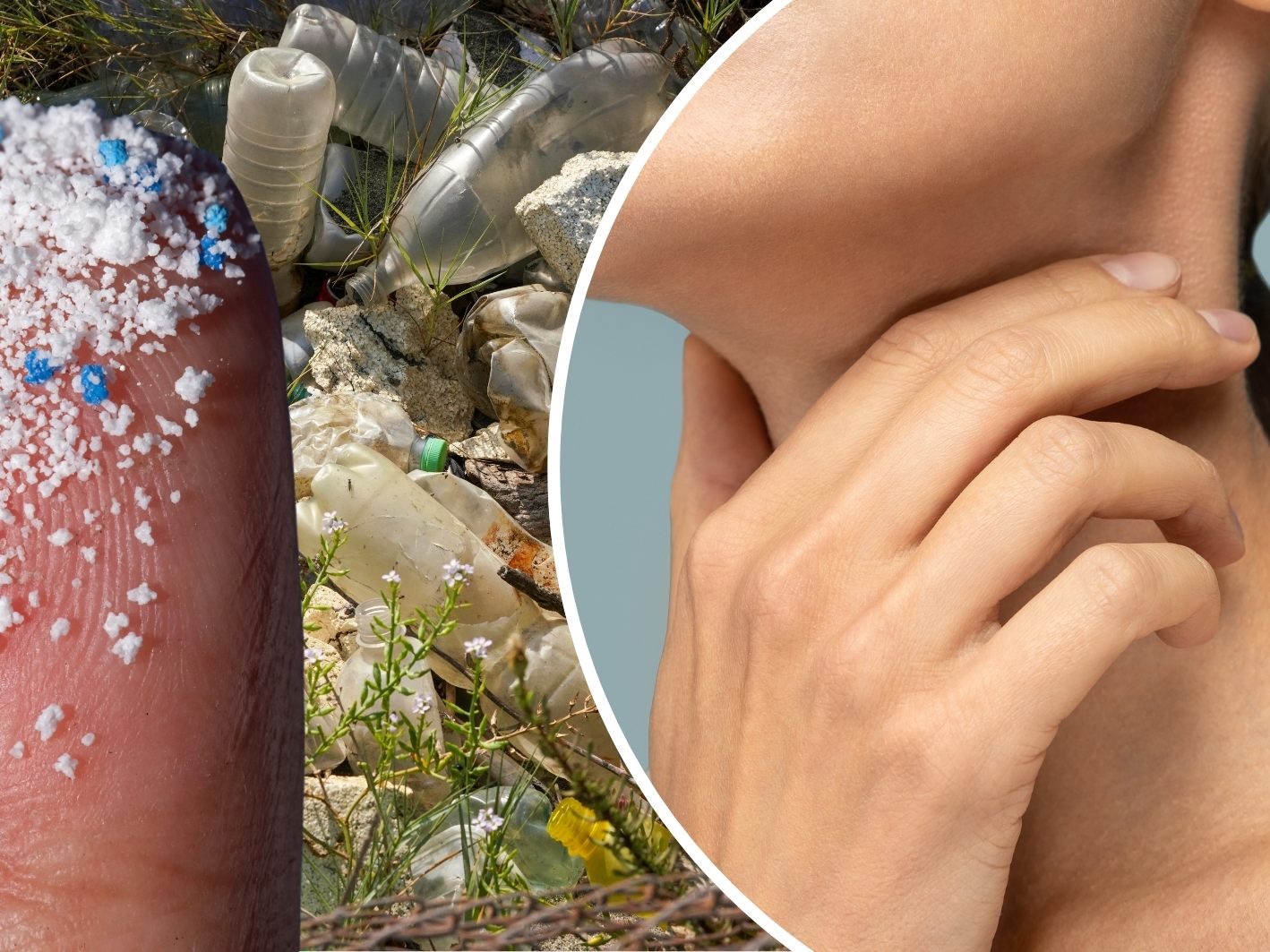 Immer mehr Hinweise auf schädigende Effekte von Mikroplastik in Blutgefäßen.