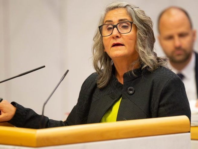 Vahide Aydin war die erste Abgeordnete mit Migrationshintergrund im Vorarlberger Landtag.