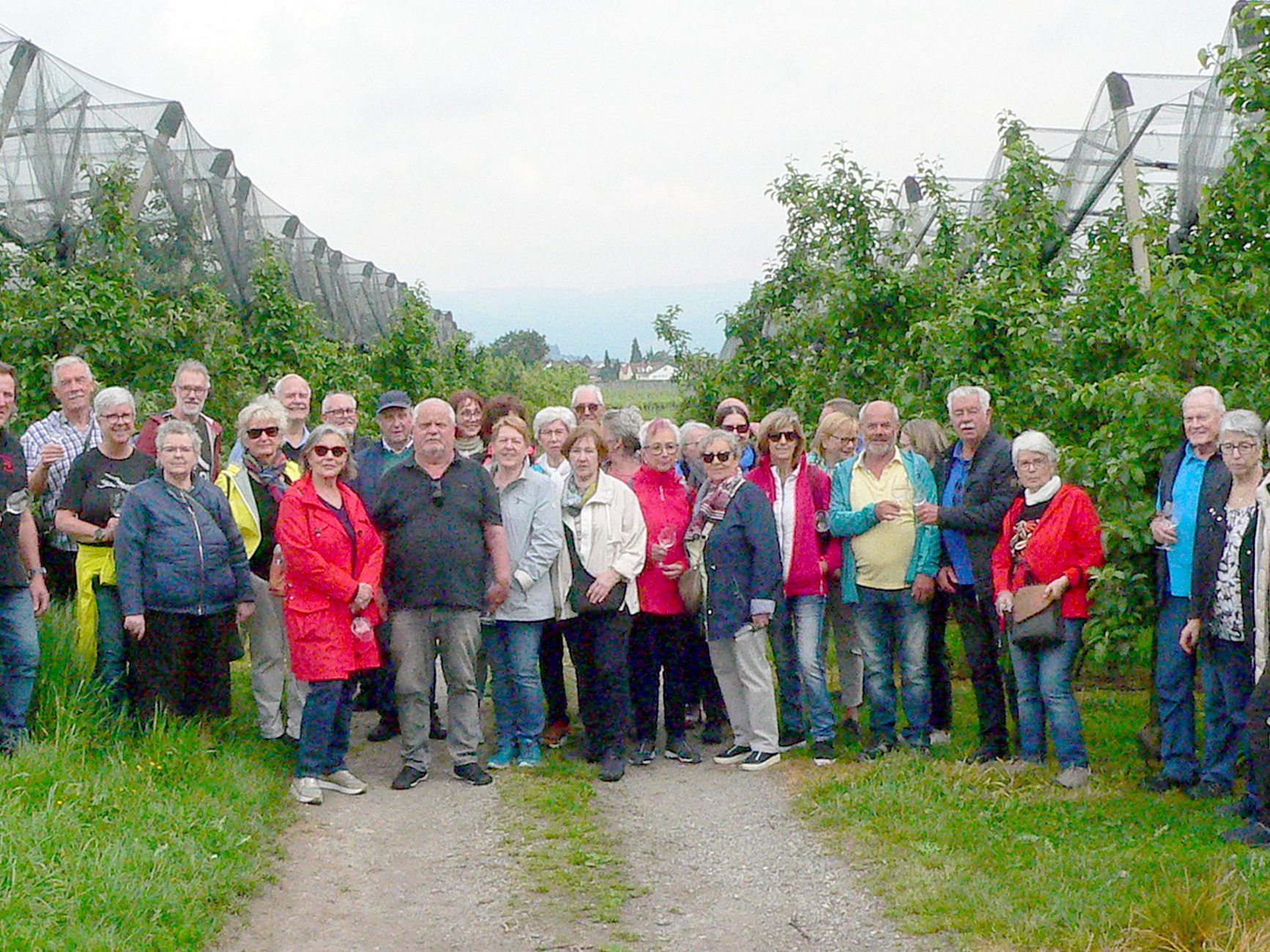 Die Wandergruppe der V50plus OG Bregenz im Weingut Marte Die Wandergruppe der V50plus OG Bregenz im Weingut Marte