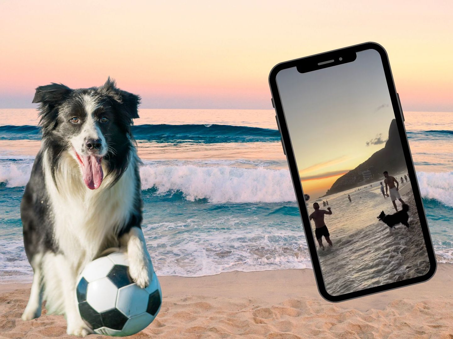 Tierischer Spielkammerad am Strand von Rio Tierischer Spielkammerad am Strand von Rio