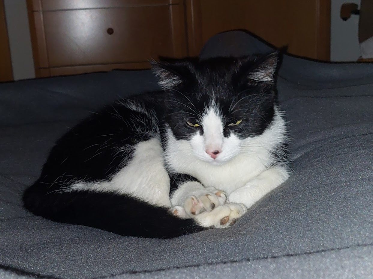 Theo nach seinem Abenteuer