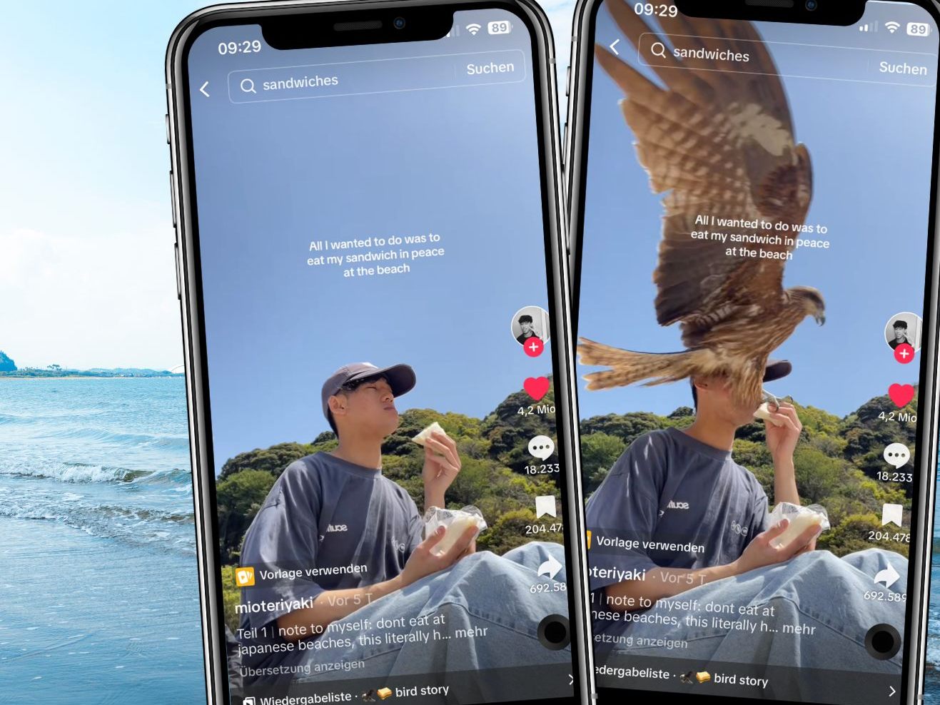 Ein frecher Vogel schnappt sich blitzschnell sein Essen und fliegt davon.