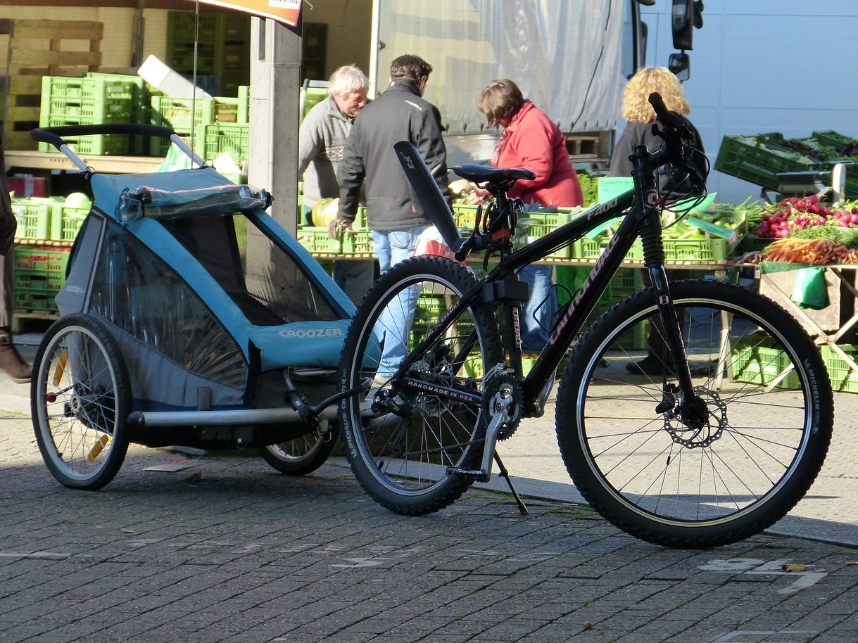 Vier von neun Fahrrad-Anhängern erhielten im AK-Test ein sehr gut. Vier von neun Fahrrad-Anhängern erhielten im AK-Test ein sehr gut.