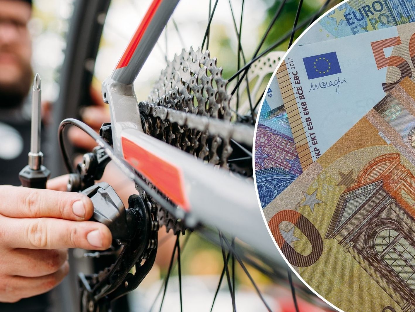 Fortführung bis 2025 aus nationalen Mitteln - Bund stellt 124 Mio. Euro zur Verfügung.
