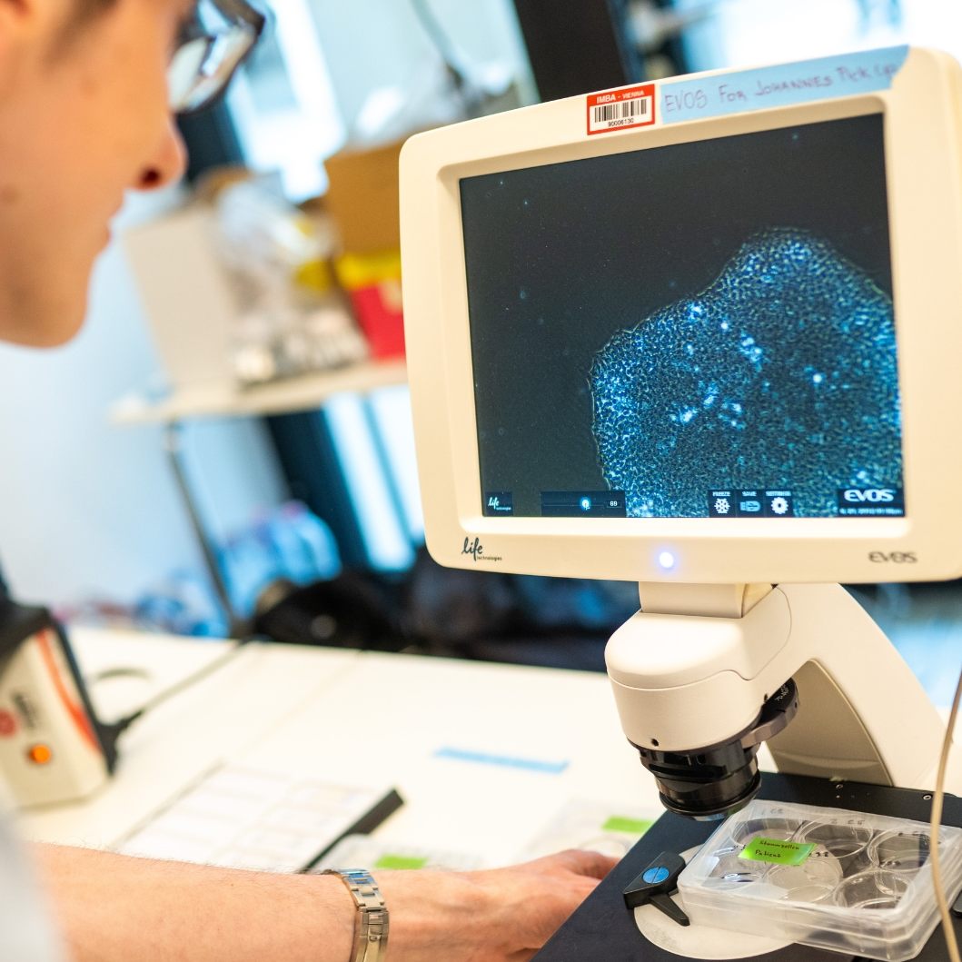 Geben für Leben: Werden Sie potenzieller Lebensretter (Symbolbild)