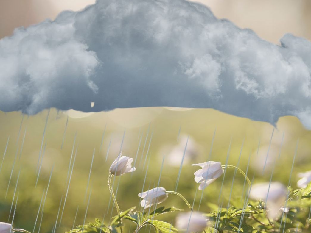 Schon wieder ein Klima-Rekord: Der April 2024 war der elfte Monat in Folge, der wärmer als alle seine gemessenen Vorjahresmonate war. Schon wieder ein Klima-Rekord: Der April 2024 war der elfte Monat in Folge, der wärmer als alle seine gemessenen Vorjahresmonate war.