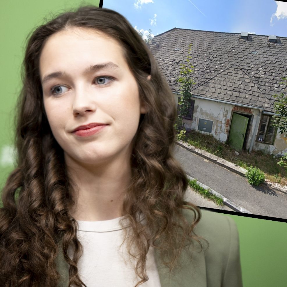 Schon wieder gibt es neue Vorwürfe gegen Lena Schilling.