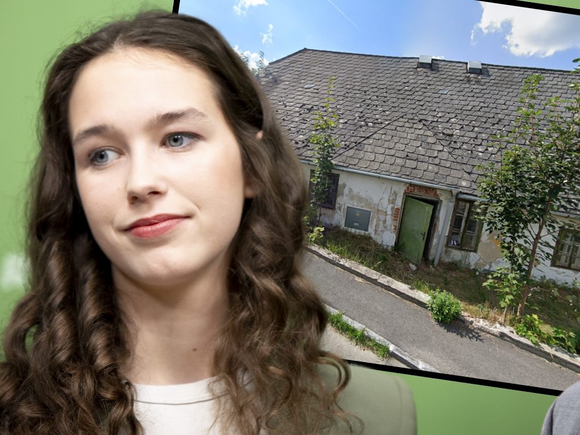 Schon wieder gibt es neue Vorwürfe gegen Lena Schilling. Schon wieder gibt es neue Vorwürfe gegen Lena Schilling.