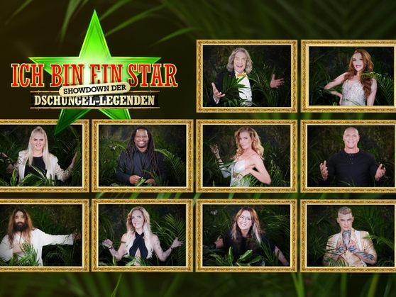 Der Cast der Dschungel Legenden. Der Cast der Dschungel Legenden.