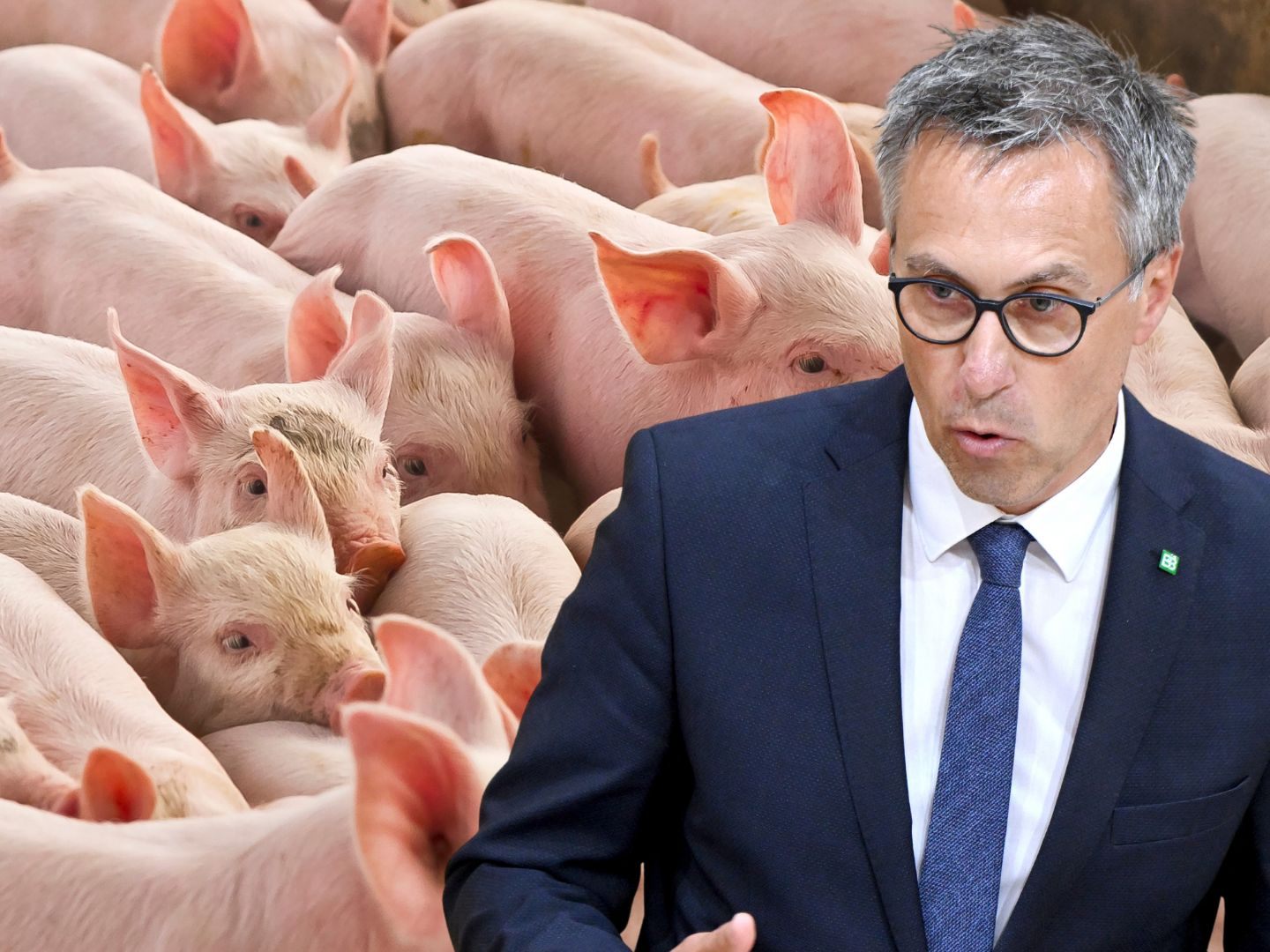 Frist bis 2036 für vor 2013 gebaute Ställe