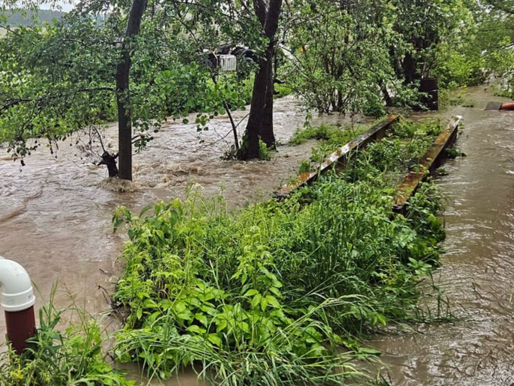 Wegen des Starkregens kam es in Teilen Niederösterreichs zu Vermurungen und Überflutungen.