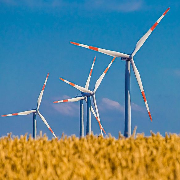 Die IG Windkraft fordert einen Ausbau der Erneuerbaren Energie.